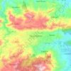 Mapa topográfico Aguas Buenas, altitud, relieve