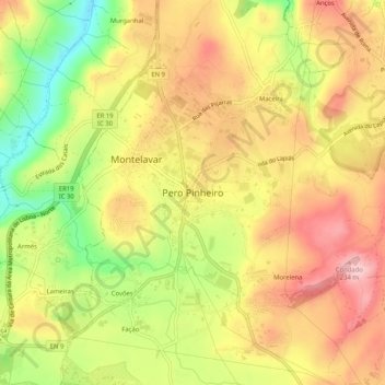 Mapa topográfico Pero Pinheiro, altitud, relieve