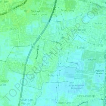 Mapa topográfico Wage, altitud, relieve