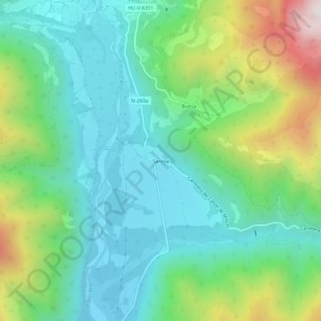 Mapa topográfico Sarvisé, altitud, relieve
