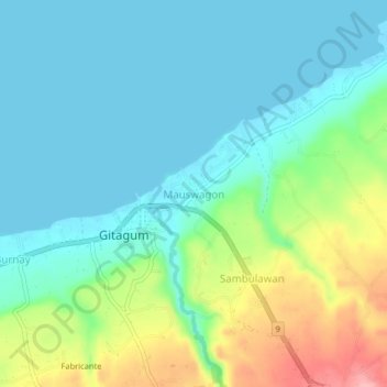 Mapa topográfico Mauswagon, altitud, relieve