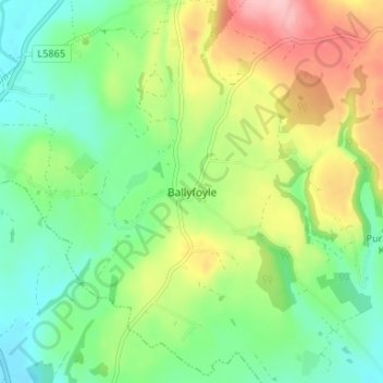 Mapa topográfico Ballyfoyle, altitud, relieve
