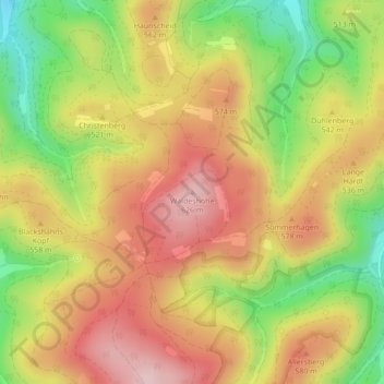 Mapa topográfico Waldeshöhe, altitud, relieve