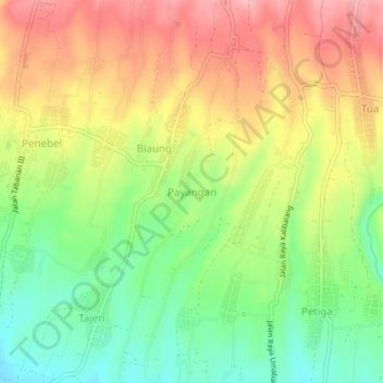 Mapa topográfico Payangan, altitud, relieve