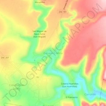 Mapa topográfico Genaro Codina, altitud, relieve