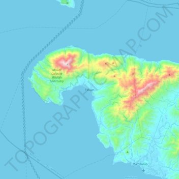 Mapa topográfico Paluan, altitud, relieve