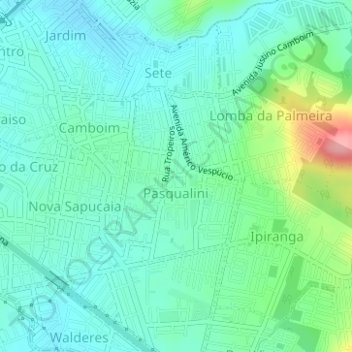 Mapa topográfico Pasqualini, altitud, relieve