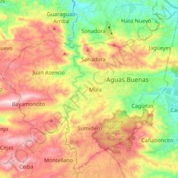 Mapa topográfico Aguas Buenas, altitud, relieve
