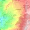 Mapa topográfico Buenavista, altitud, relieve