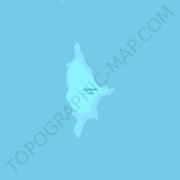 Mapa topográfico Big Whale Cay, altitud, relieve